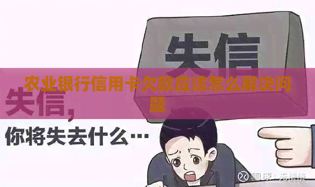 农业银行信用卡欠款应该怎么解决问题