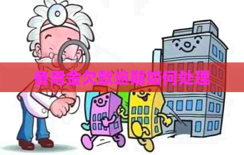 备用金欠款逾期如何处理