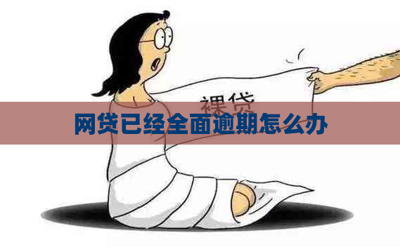 网贷已经全面逾期怎么办
