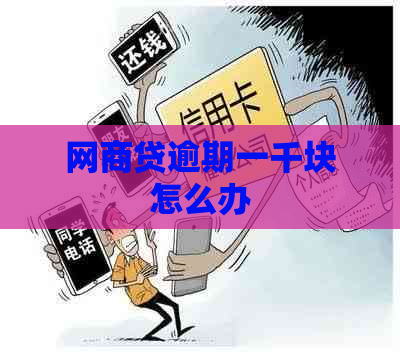 白条贷逾期一千块怎么办