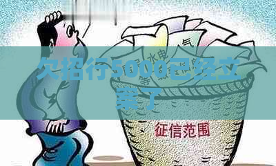欠招行5000已经立案了