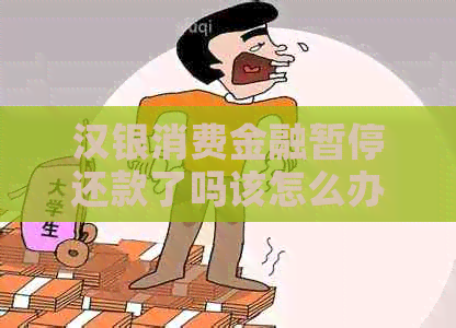 汉银消费金融暂停还款了吗该怎么办