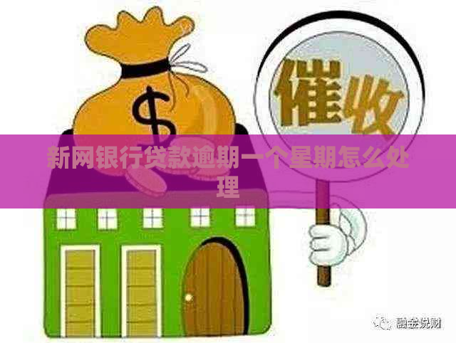 新网银行贷款逾期一个星期怎么处理
