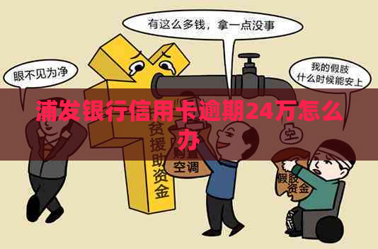 浦发银行信用卡逾期24万怎么办