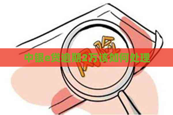 中银e贷逾期2万该如何处理