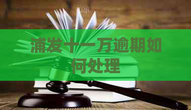 浦发十一万逾期如何处理