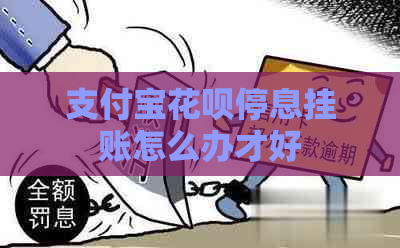 信用卡白条停息挂账怎么办才好