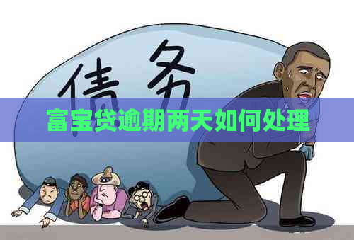 富宝贷逾期两天如何处理
