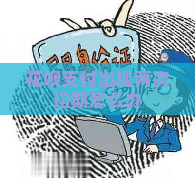 白条支付出现两次逾期怎么办