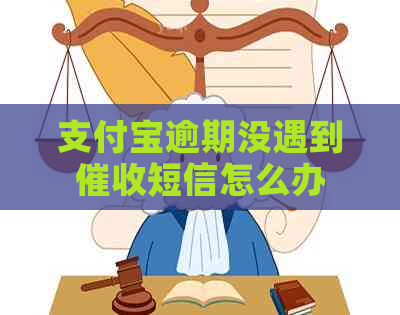 信用卡逾期没遇到短信怎么办