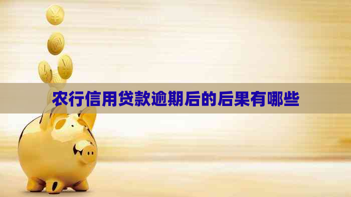 农行信用贷款逾期后的后果有哪些
