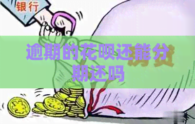 逾期的白条还能分期还吗
