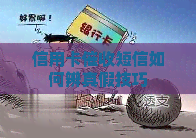 信用卡短信如何辨真假技巧