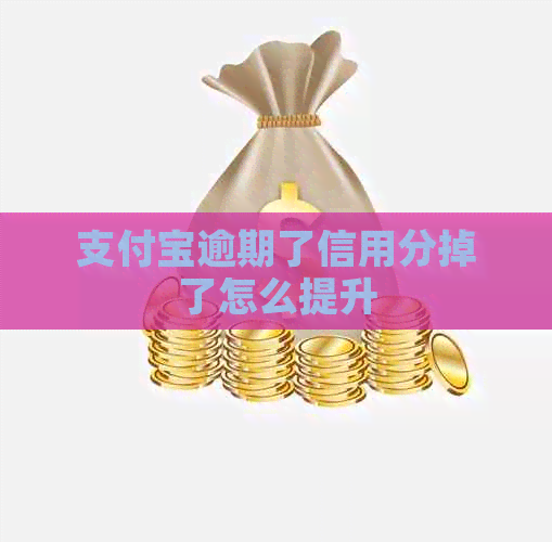 信用卡逾期了信用分掉了怎么提升