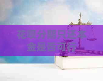 白条分期只还本金是否可行