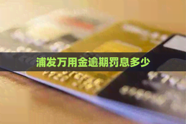 浦发万用金逾期罚息多少