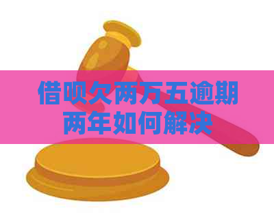 信用卡欠两万五逾期两年如何解决