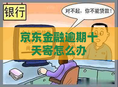 京东金融逾期十天寄怎么办