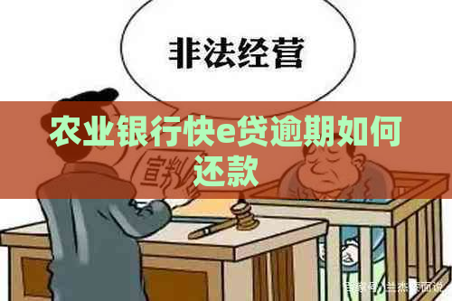 农业银行快e贷逾期如何还款