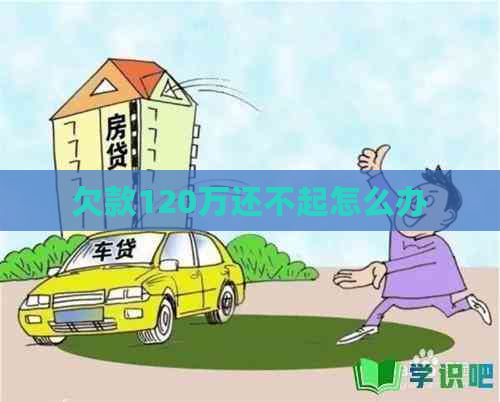 欠款120万还不起怎么办