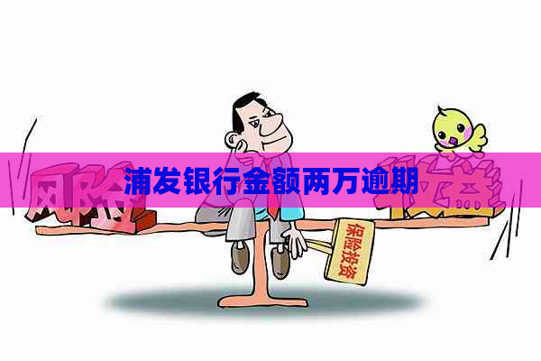 浦发银行金额两万逾期