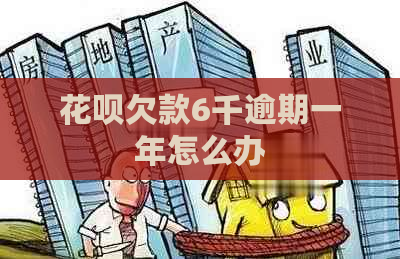 花呗欠款6千逾期一年怎么办