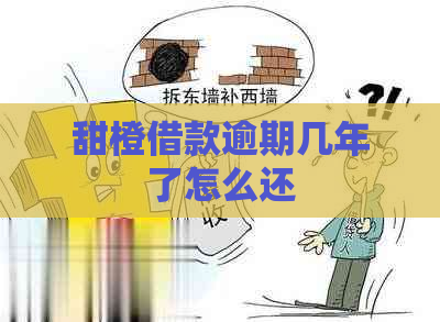 甜橙借款逾期几年了怎么还