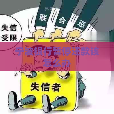宁波银行暂停还款该怎么办