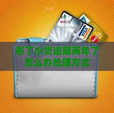 布丁小贷逾期两年了怎么办处理方式