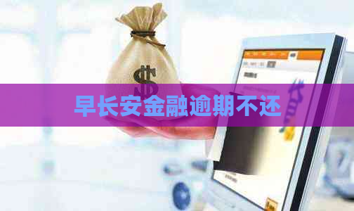 早长安金融逾期不还