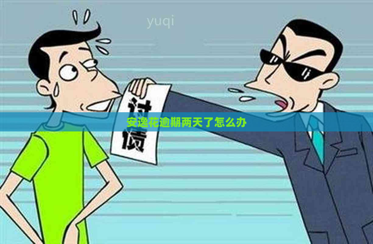 安逸花逾期两天了怎么办