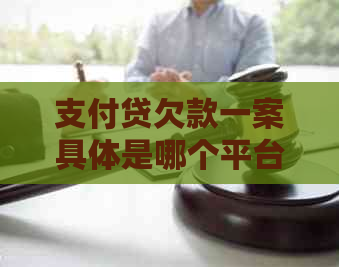 支付贷欠款一案具体是哪个平台未提及