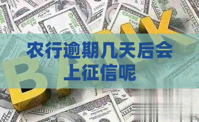 农行逾期几天后会上呢