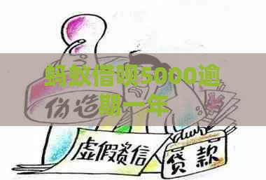 蚂蚁借呗5000逾期一年