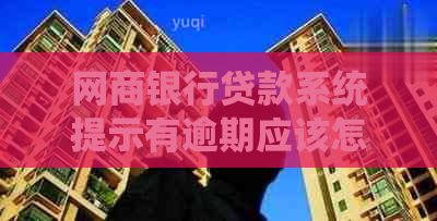 网商银行贷款系统提示有逾期应该怎么处理