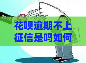 花呗逾期不上是吗如何处理