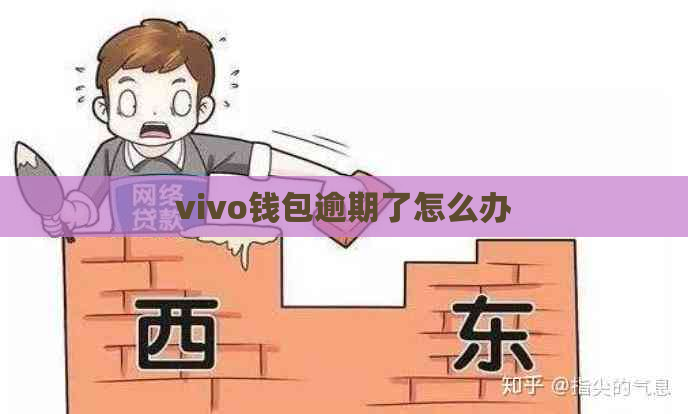 vivo钱包逾期了怎么办