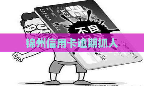 锦州信用卡逾期抓人