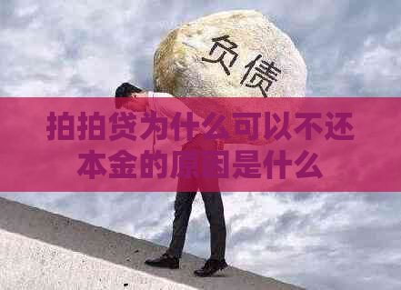 为什么可以不还本金的原因是什么