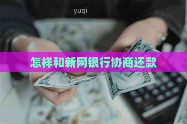 怎样和新网银行协商还款