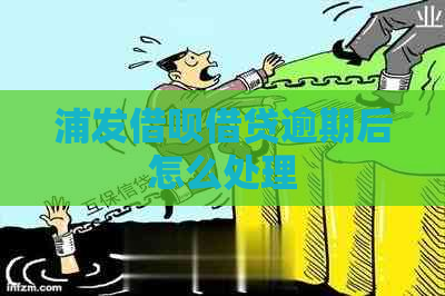 浦发借呗借贷逾期后怎么处理