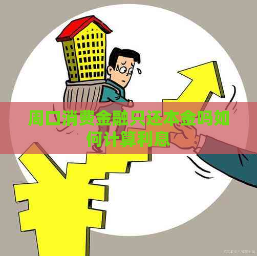 周口消费金融只还本金吗如何计算利息