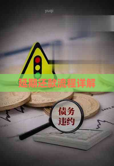延期还款流程详解