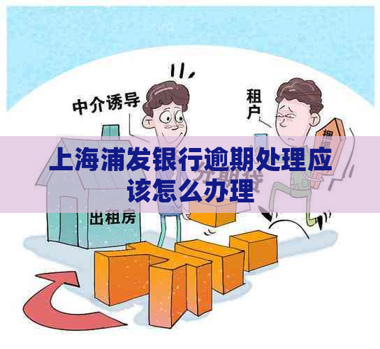 上海浦发银行逾期处理应该怎么办理