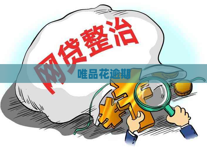 唯品花逾期