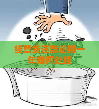 经营贷还款逾期一年如何处理
