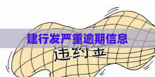 建行发严重逾期信息