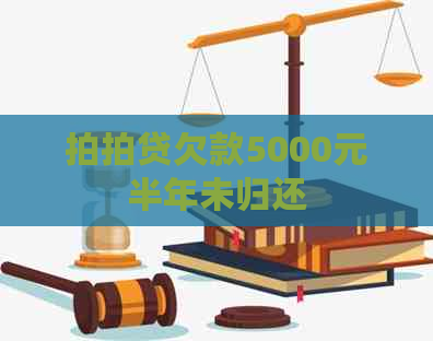 欠款5000元半年未归还