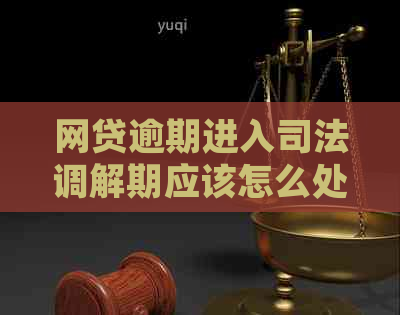 网贷逾期进入司法调解期应该怎么处理