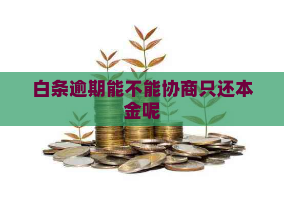 白条逾期能不能协商只还本金呢